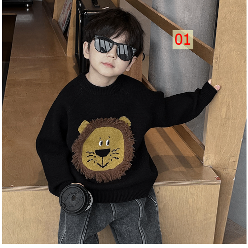 HH13117 - ÁO LEN AOAKIDS CHO BÉ