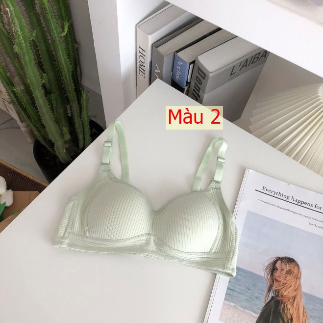 HH11123 - ☘️SET 3C ÁO CHIP COTTON cho Mẹ và Gái lớn
