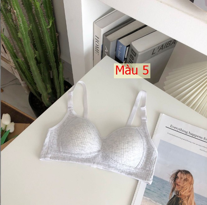 HH11123 - ☘️SET 3C ÁO CHIP COTTON cho Mẹ và Gái lớn