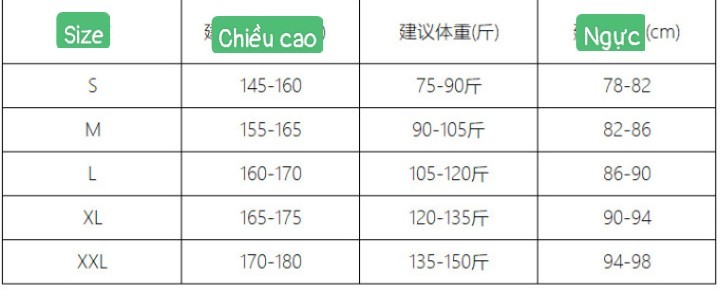 24HA31.05 - ÁO THUN CANVAUS CÁCH ĐIỆU