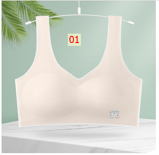 24HH51.07 - BRA BÉ GÁI LỚN KÈM MÚT