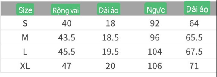 24HA71.04 - ÁO COTTON CỘC TAY