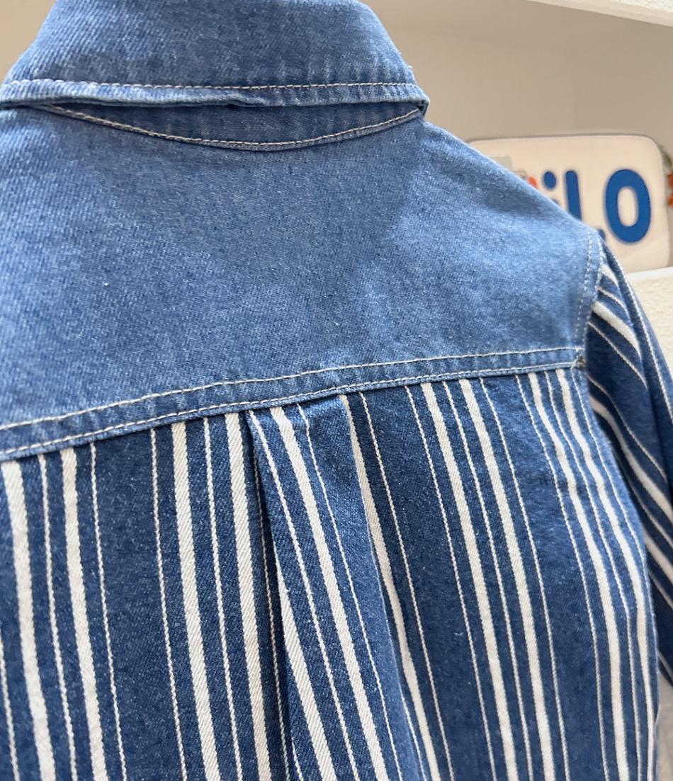 24HH161.07 - SƠ MI DENIM KẺ SỌC KACADY