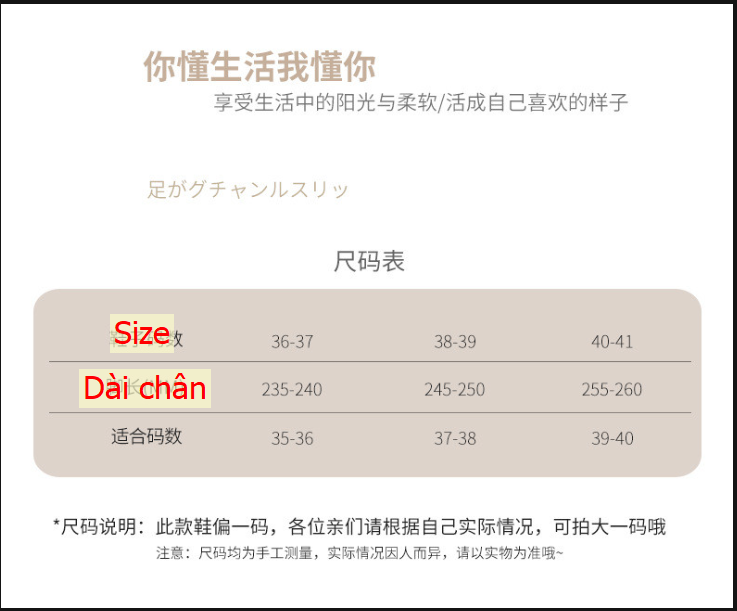 24HA202.04 - DÉP LÊ NỮ MÙA HÈ
