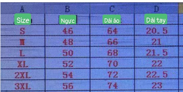 24HH222.04 - ÁO PHÔNG CHO NỮ