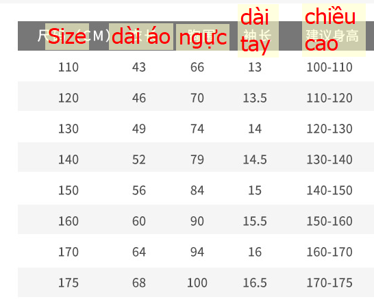 24HA262.05 - POLO SIZE ĐẠI CHO BÉ