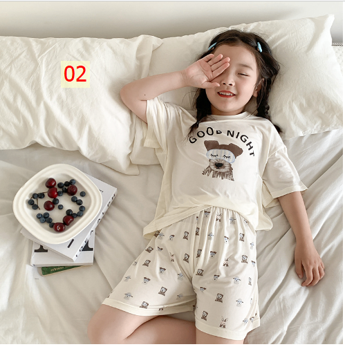 24HH272.02 - BỘ COTTON LẠNH AMBB