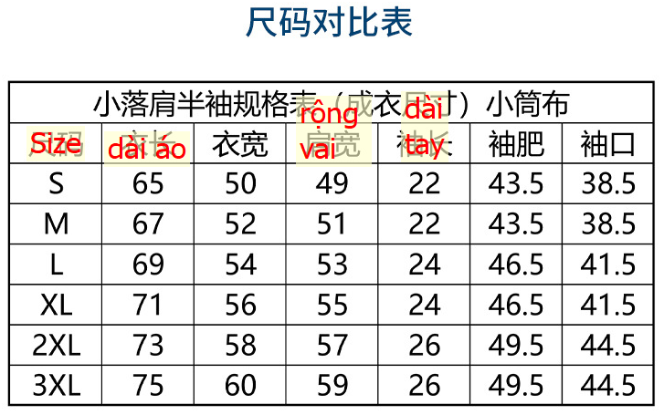 24HH282.05 - ÁO CỔ TRÒN BASIC