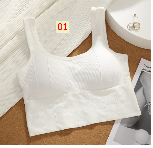 24HH282.08 - SET 2 ÁO BRA