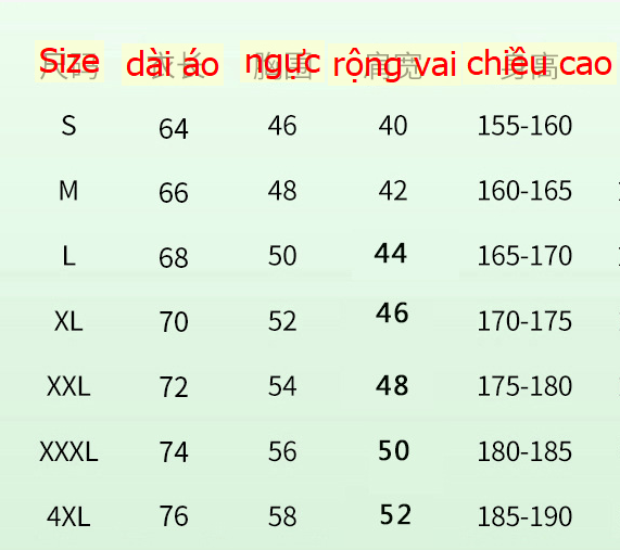 24HA13.09 - ÁO COTTON NHÓM