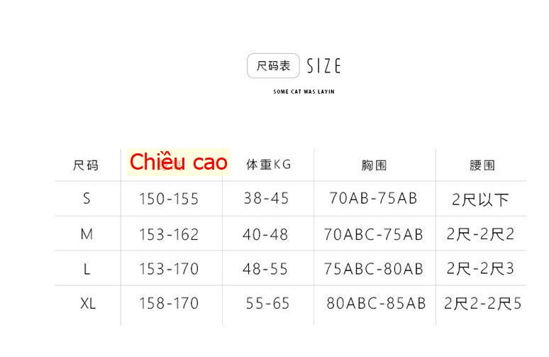 24HA33.07- SET ĐỒ BƠI 2 CHI TIẾT.
