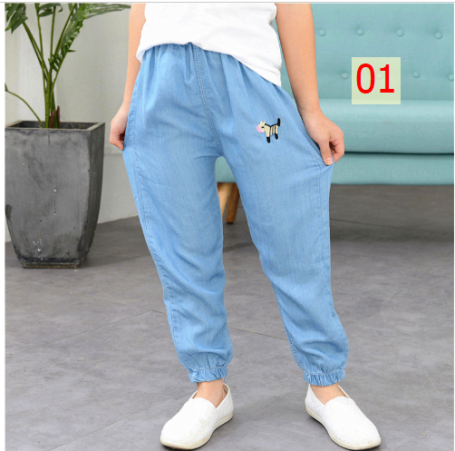 24HH103.06 - QUẦN JEAN MỎNG MÙA HÈ