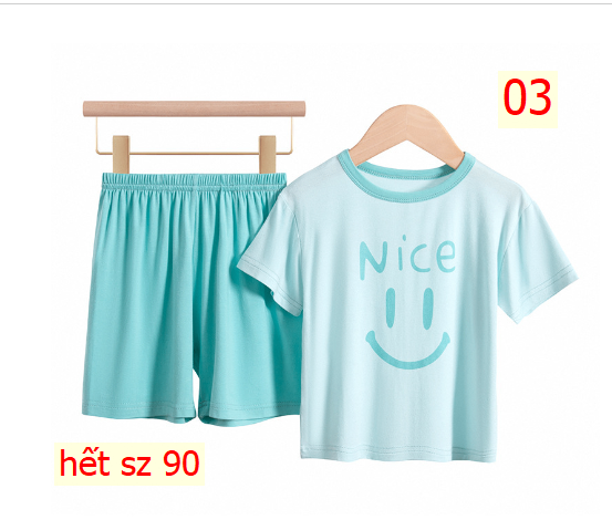 24HA133.06 - BỘ VISCO MẶT CƯỜI NICE