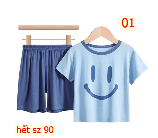 24HA133.06 - BỘ VISCO MẶT CƯỜI NICE