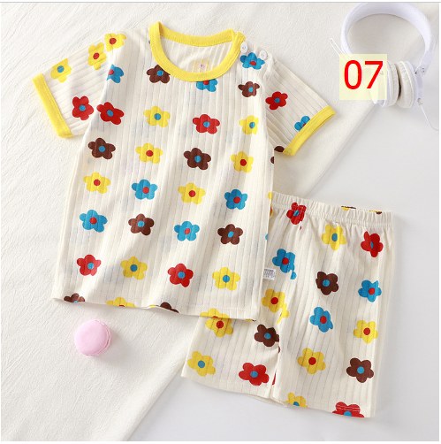 24HA173.02 - BỘ COTTON GIẤY