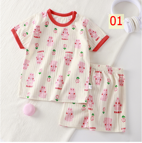 24HA173.02 - BỘ COTTON GIẤY