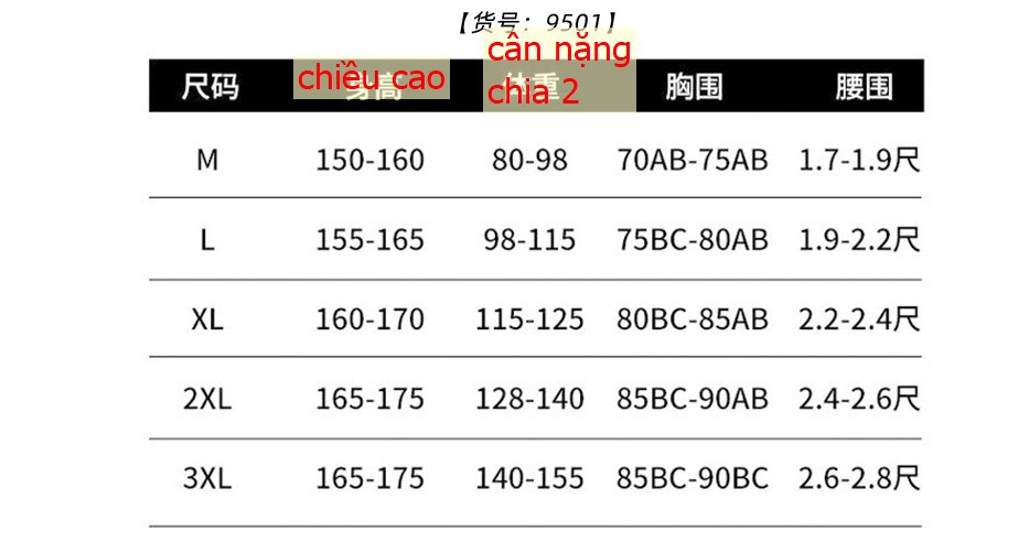 24HH273.12 - BỘ BƠI NỮ
