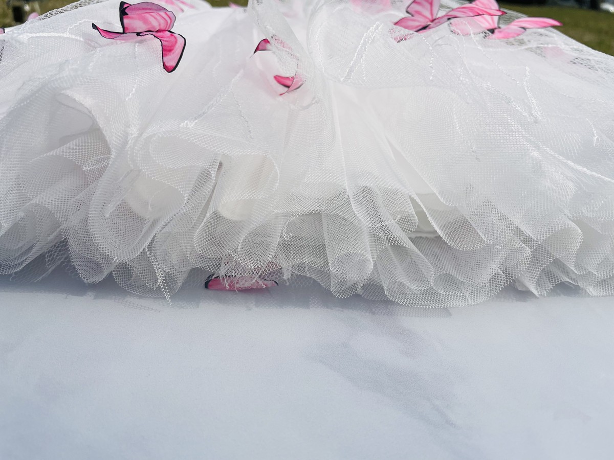 24HH303.14- VÁY BÉ GÁI HÌNH BƯỚM.