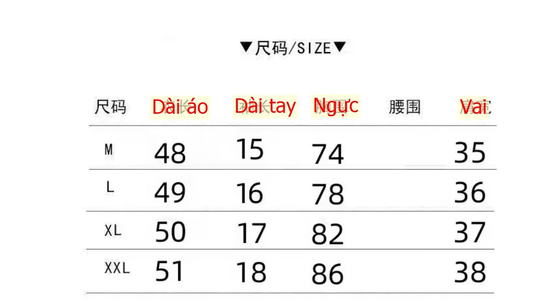 24HH24.02 - ÁO THUN DÂY RÚT EO CHO NỮ