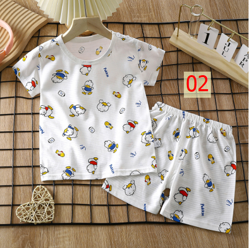 24HA44.06 - SET 2 BỘ COTTON TRE QC