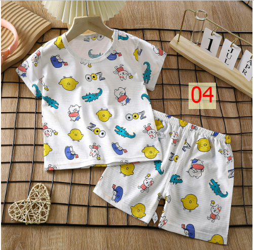 24HA44.06 - SET 2 BỘ COTTON TRE QC