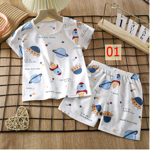 24HA44.06 - SET 2 BỘ COTTON TRE QC