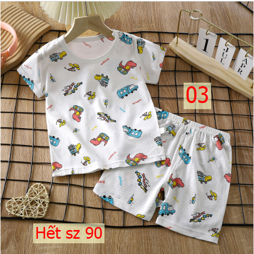 24HA44.06 - SET 2 BỘ COTTON TRE QC