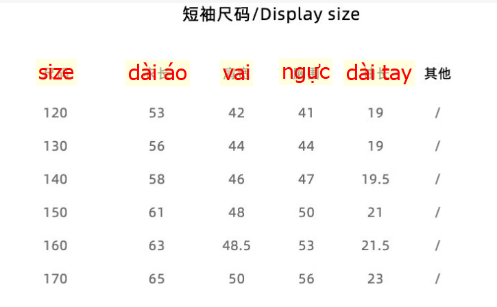 24HA94.03 - SET BỘ BÉ GÁI SIZE ĐẠI