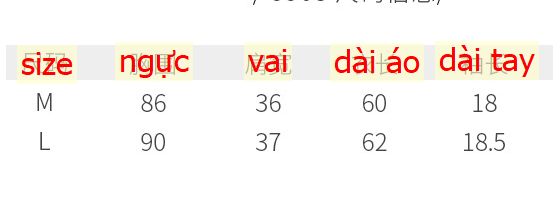 24HH104.04 - ÁO PHÔNG TRƠN