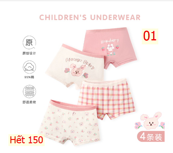 24HA134.07 - SET 4 QUẦN CHIP ĐÙI CHO BÉ