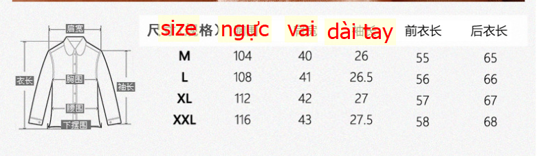 24HA134.12 - SƠ MI ĐŨI