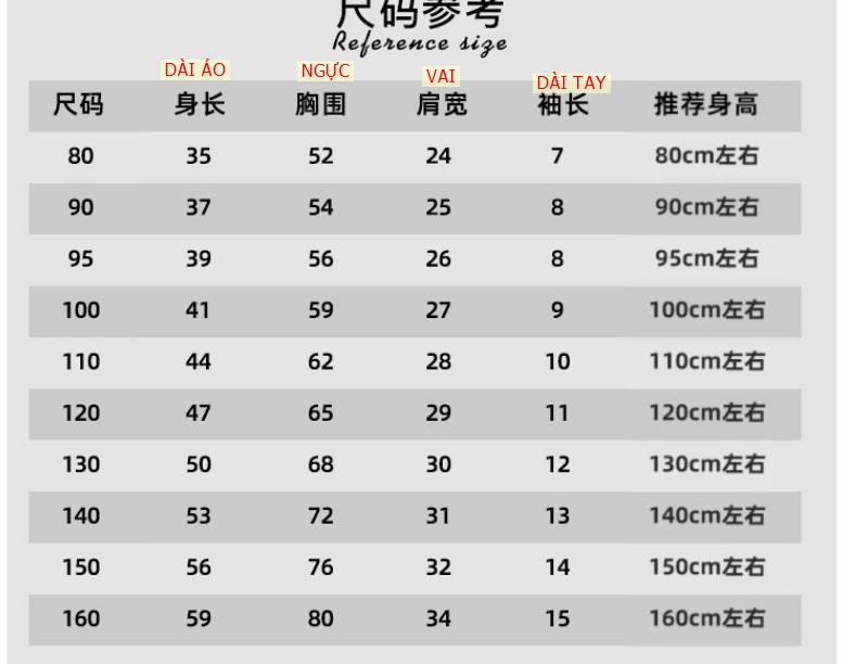24HH184.08 - SET 3ÁO PHÔNG COTTON NGUYÊN CHẤT