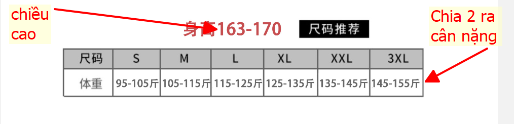 24HH244.12 - QUẦN SHORT VẢI LƯNG CHUN