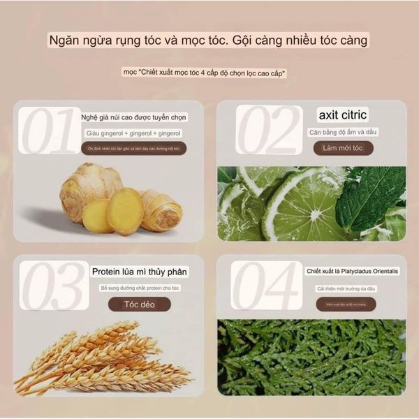 24HA95.08 - SET DẦU GỘI GỪNG CHÍNH HÃNG MOFAJANG