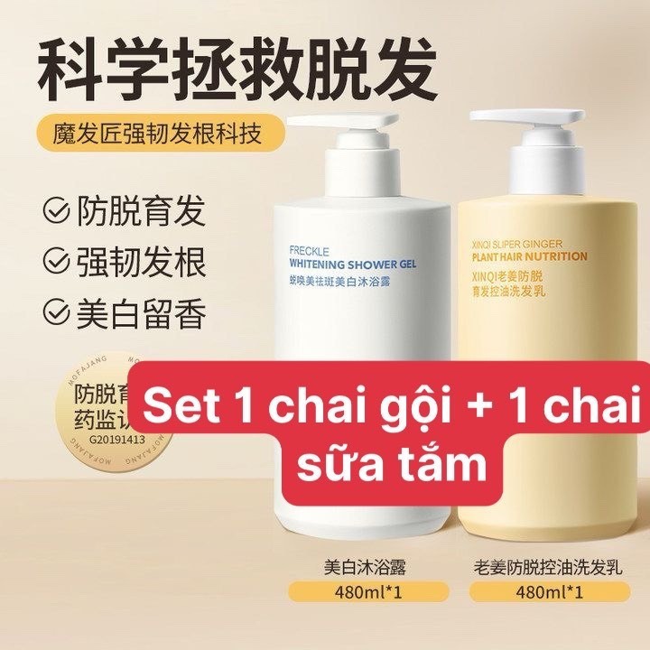 24HA95.08 - SET DẦU GỘI GỪNG CHÍNH HÃNG MOFAJANG