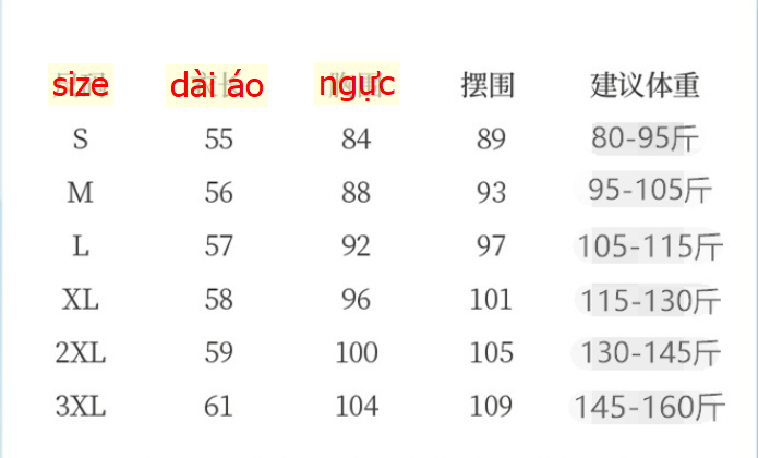 24HA145.09 - ÁO LỤA SÁT NÁCH NỮ