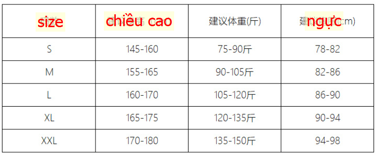 24HA165.06 - ÁO THUN KẺ NGANG CANVAUS