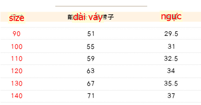 24HA165.07 - VÁY 2 DÂY PREMIUM