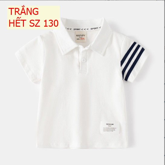 24HA195.09 - POLO SỌC TAY WAPYPY