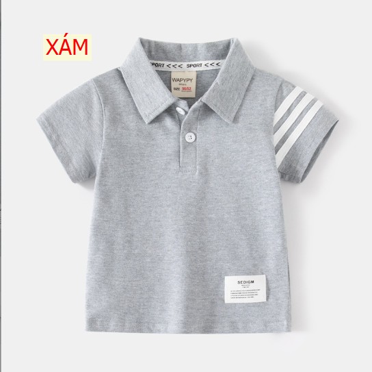 24HA195.09 - POLO SỌC TAY WAPYPY