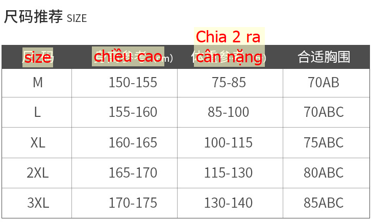 24HA76.15 - SET BƠI YUKE 2 MÀU