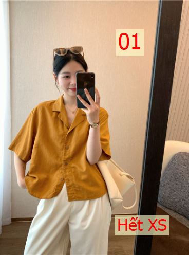24HA106.05 - ÁO SƠ MI NỮ