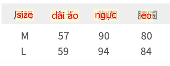 24HA246.20 - ÁO THUN TAY HẾN NỮ
