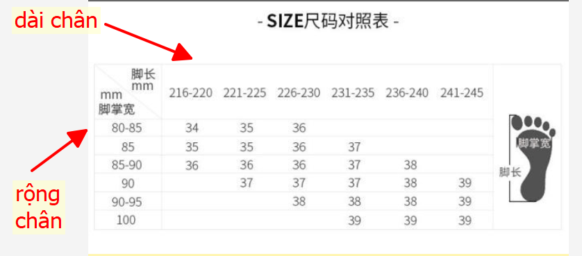 24HA246.22 - GIÀY DA GÓT VUÔNG DUSTO NỮ