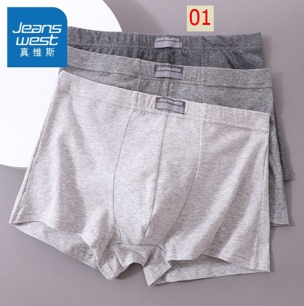 24HA296.31 - SET 3 QUẦN SỊP ĐÙI JEANWEST