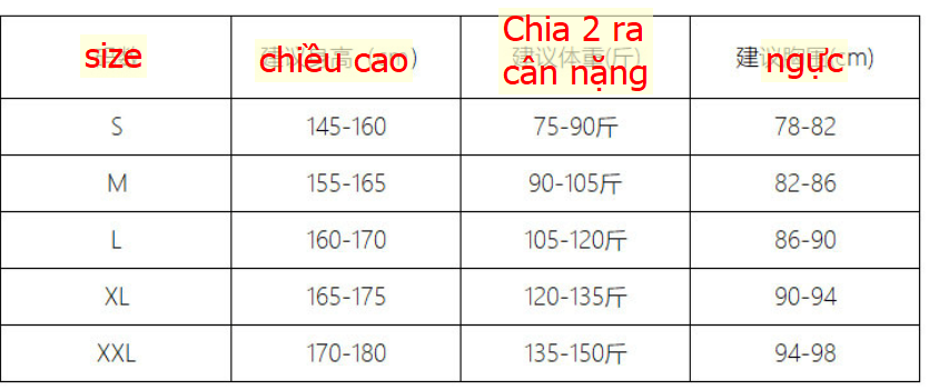 24HA306.07 - ÁO PHÔNG TRƠN HÃNG CANVAUS