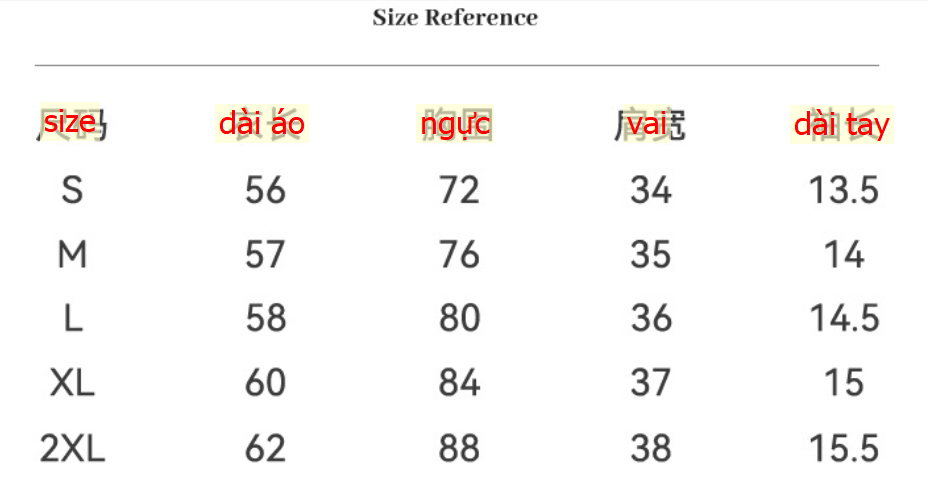 24HA57.09 - ÁO CỘC CỔ TRÒN KẺ NGANG CHO NỮ