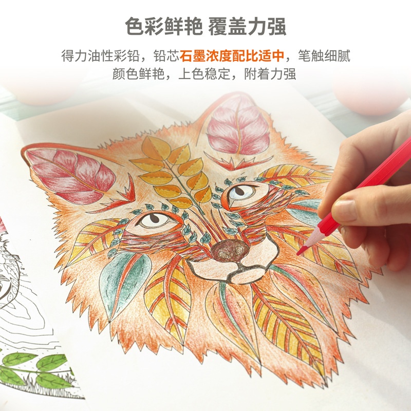24HA97.07 - HỘP 24 BÚT CHÌ MÀU XOÁ ĐƯỢC DELI