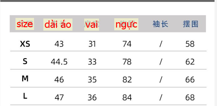 24HA117.30 - ÁO LEN GILE DESSUU