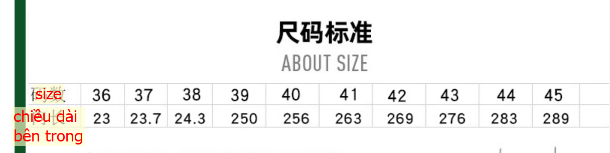 24HA117.34 - GIÀY LỖ NATIVE NAM NỮ